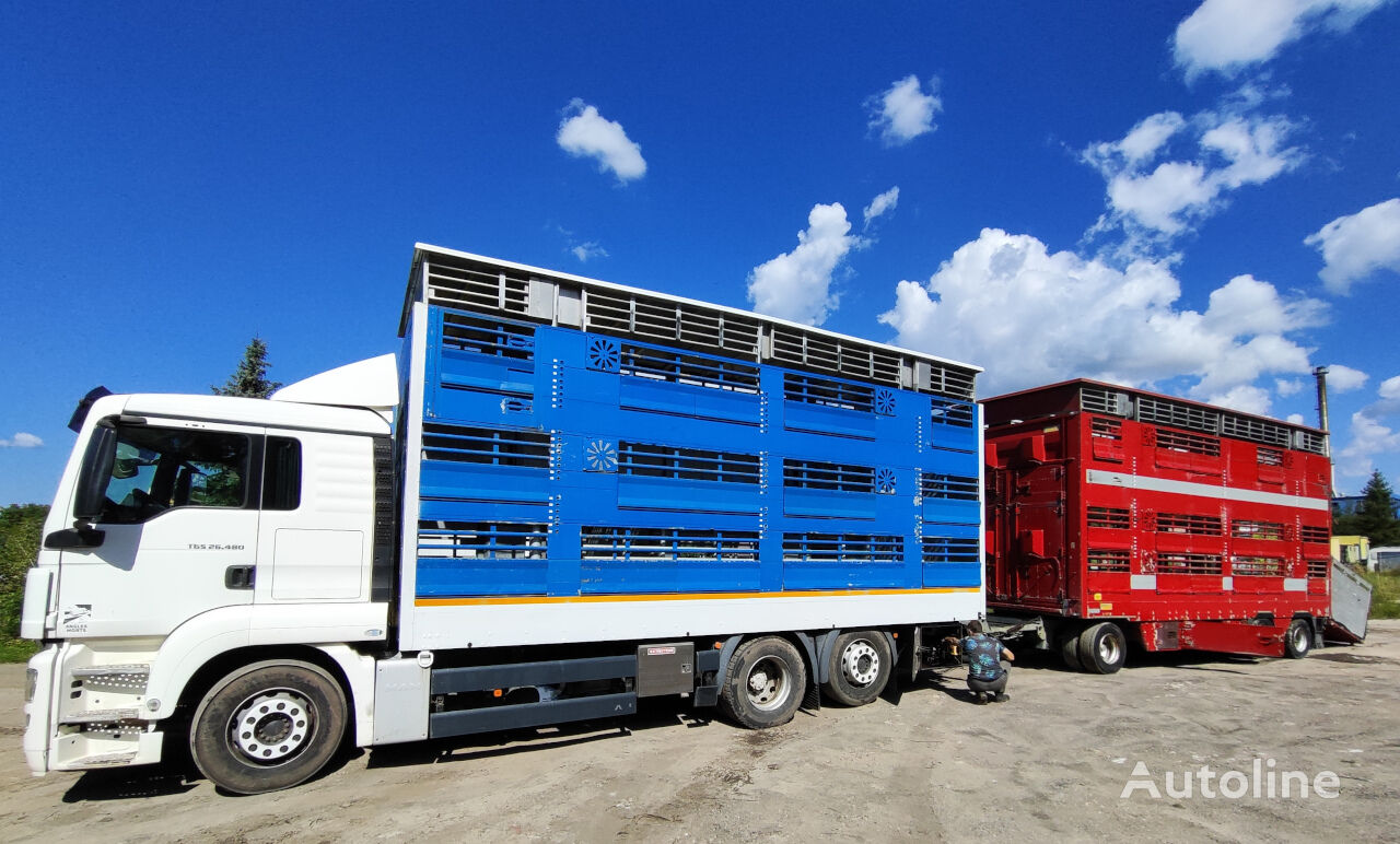 камион за превоз на животни MAN MAN TGS 26.480 Pezzaioli + ремарке за превоз на животни