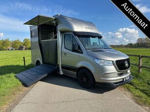 кемпер транспортер за коне Mercedes-Benz Sprinter AMG 2-paards paardenvrachtwagen B-rijbewijs