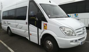 туристически автобус MERCEDES-BENZ 516cdi Multiline 22+1 Wheelchair